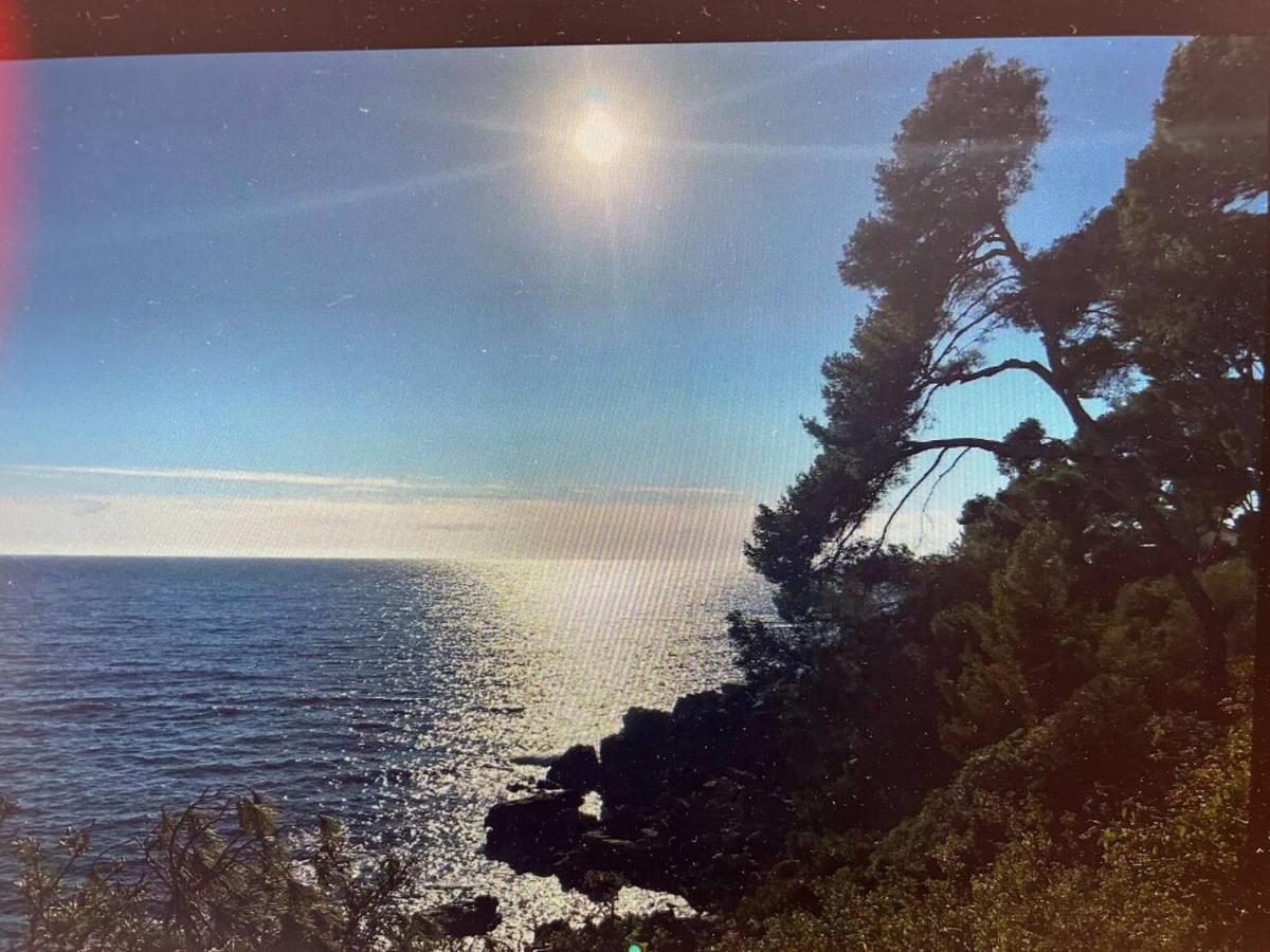 Pin Rollan Beach Saint-Mandrier-sur-Mer Bagian luar foto